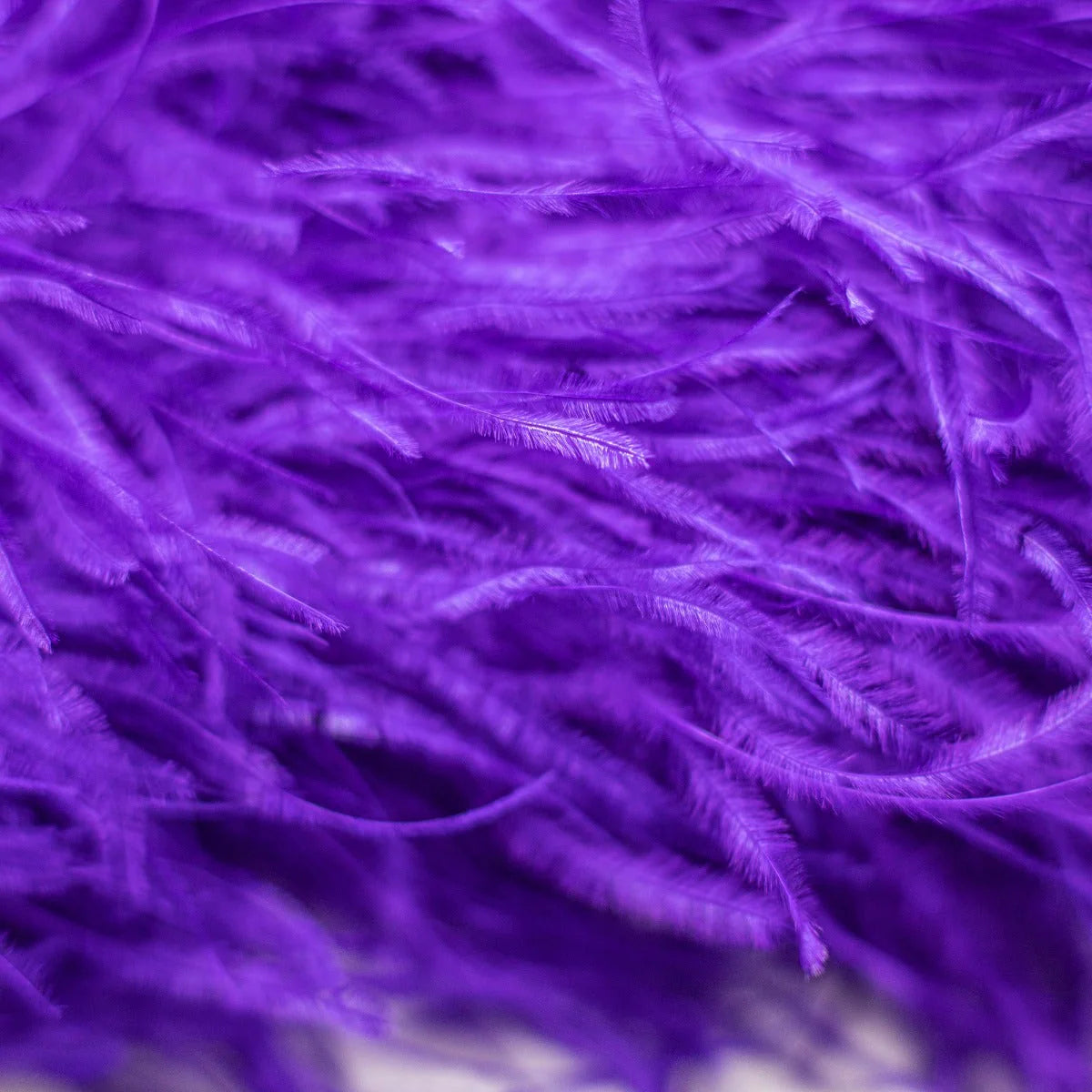 CELESTIAL FEATHER WRAP