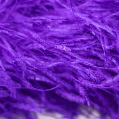 CELESTIAL FEATHER WRAP